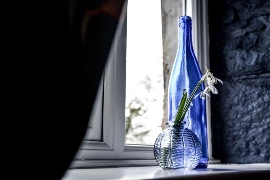 Lower Trengale Farm Holiday home Liskeard